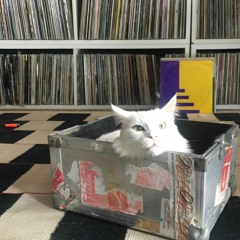 FODA quarantine 001  - VINYL SESSIONS