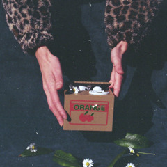 Shopping on the Left Bank