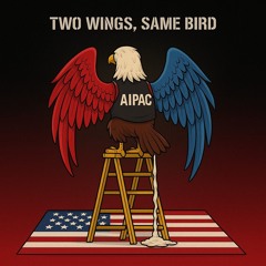 Red or Blue [explicit]