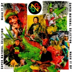 Mash It Up - King Of Kings