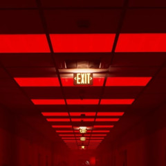 Dapper Husky - Level ! | ZWIFTSHOT REMIX