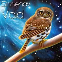 Void
