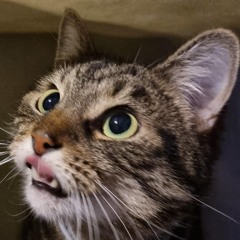 I miss you little guy