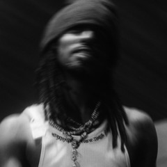 PLAYBOYCARTI - RADAR REMIX (prod.skowronnn)