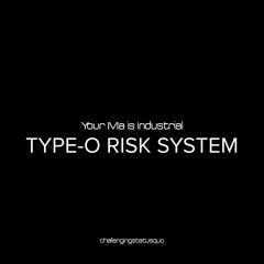 YMII - TYPE-O RISK SYSTEM