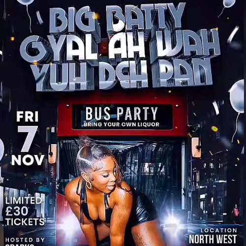 JBJR & SPARKS / LIKKLE SHAUN LIVE @ DINA'S BUS PARTY