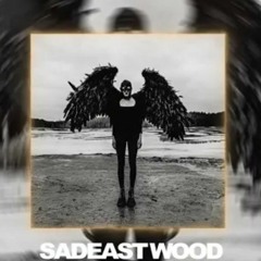 RAM SADEASTWOOD (2020).mp3