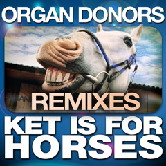 Ket Is for Horses (DUO Remix)