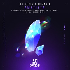 Leo Perez & Dhany G - Amatista (NOIYSE PROJECT Remix) [Droid9]