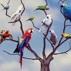 WarderParty Tati/Mat