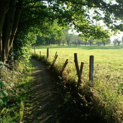 Bloody Motherfucking Asshole (Martha Wainwright)