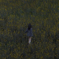 Anh Cũng Đâu Có Muốn Tin (Slowed)