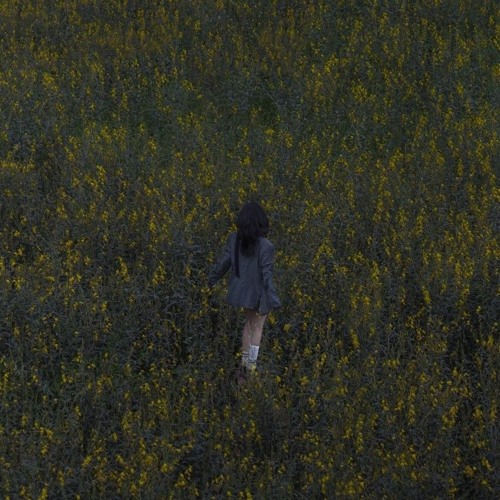 Anh Cũng Đâu Có Muốn Tin (Slowed)