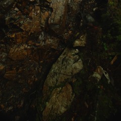 Big On Empathy But Not Very Cool/Funny