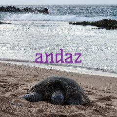 andaz
