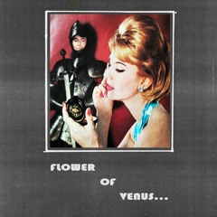 flower of venus