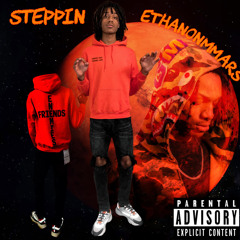 N$E- Steppin