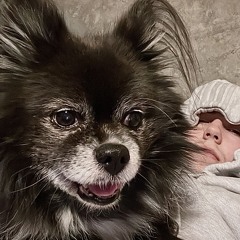 Свет погасших звезд