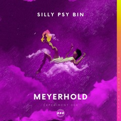 Experiment 002: Silly Psy Bin