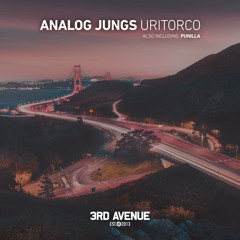 PREMIERE: Analog Jungs - Punilla (Original Mix) [3rd Avenue]