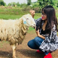Mấy bài dễ thương🌱