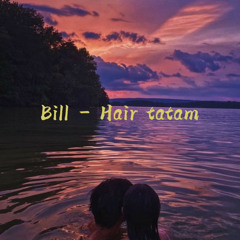 Bill - Hair tatam