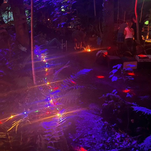 Licht und Schatten / Wenn Katzen tanzen