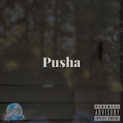 Pusha - Produced by 29