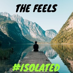 THE FEELS | #ISOLATED | HEAVY DEE