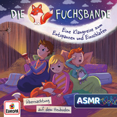 Klangreise: Übernachtung auf dem Heuboden (ASMR) (Inhaltsangabe)