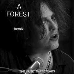 A FOREST - REMIX REC-2025-11-22