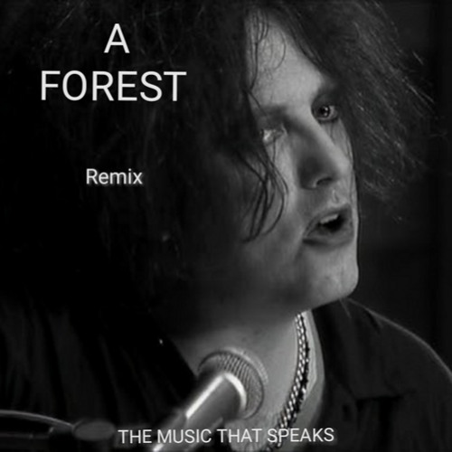 A FOREST - REMIX REC-2025-11-22