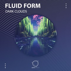 Fluid Form - Dark Clouds (LIZPLAY RECORDS)