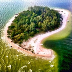 Jimmy Moksha - Live at Pine Key, Florida