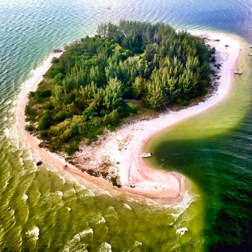 Jimmy Moksha - Live at Pine Key, Florida