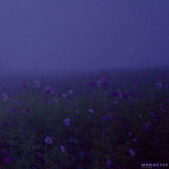 Violets