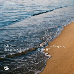 Calico Guestmix 003 | Paradise Is a Frequency