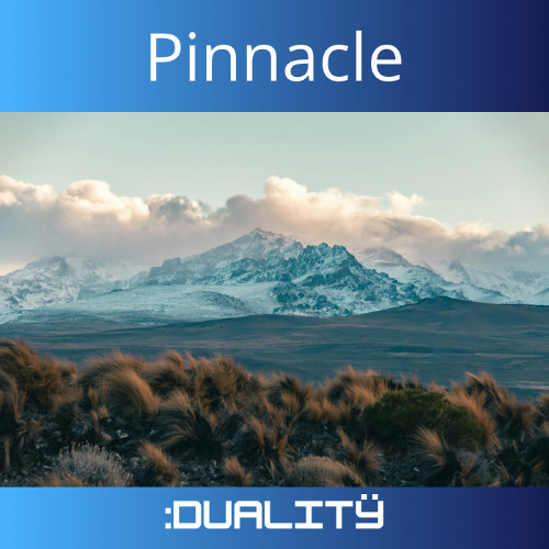 Pinnacle [Extended Mix]