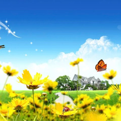 Fly In