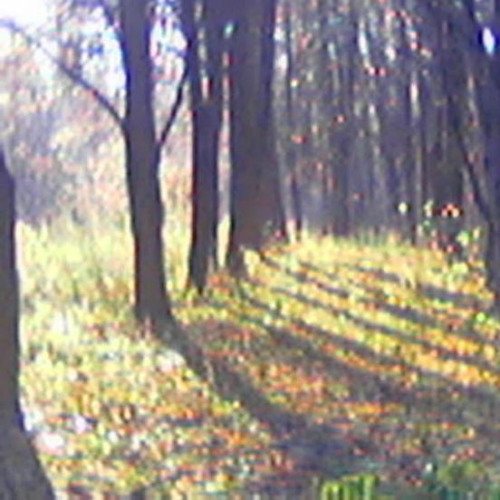 STUK@Fleurr//1luv ft.zangel