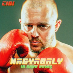 cibi - NAGYABALY (in:sane remix)