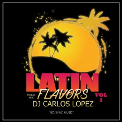DJ CARLOS LOPEZ LATIN FLAVORS VOL 1