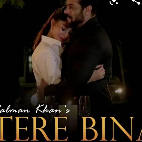 Tere Bina by Salman Khan