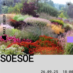 Soesoe / 26-09-2025