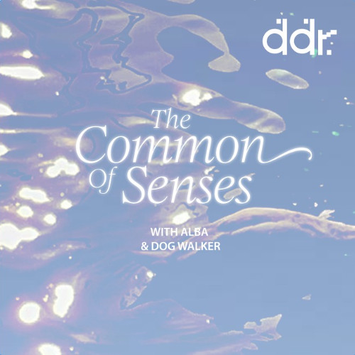The Common of Senses with Dog Walker ~ 02.11.2024