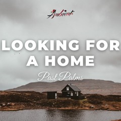 Past Palms - Looking for a Home