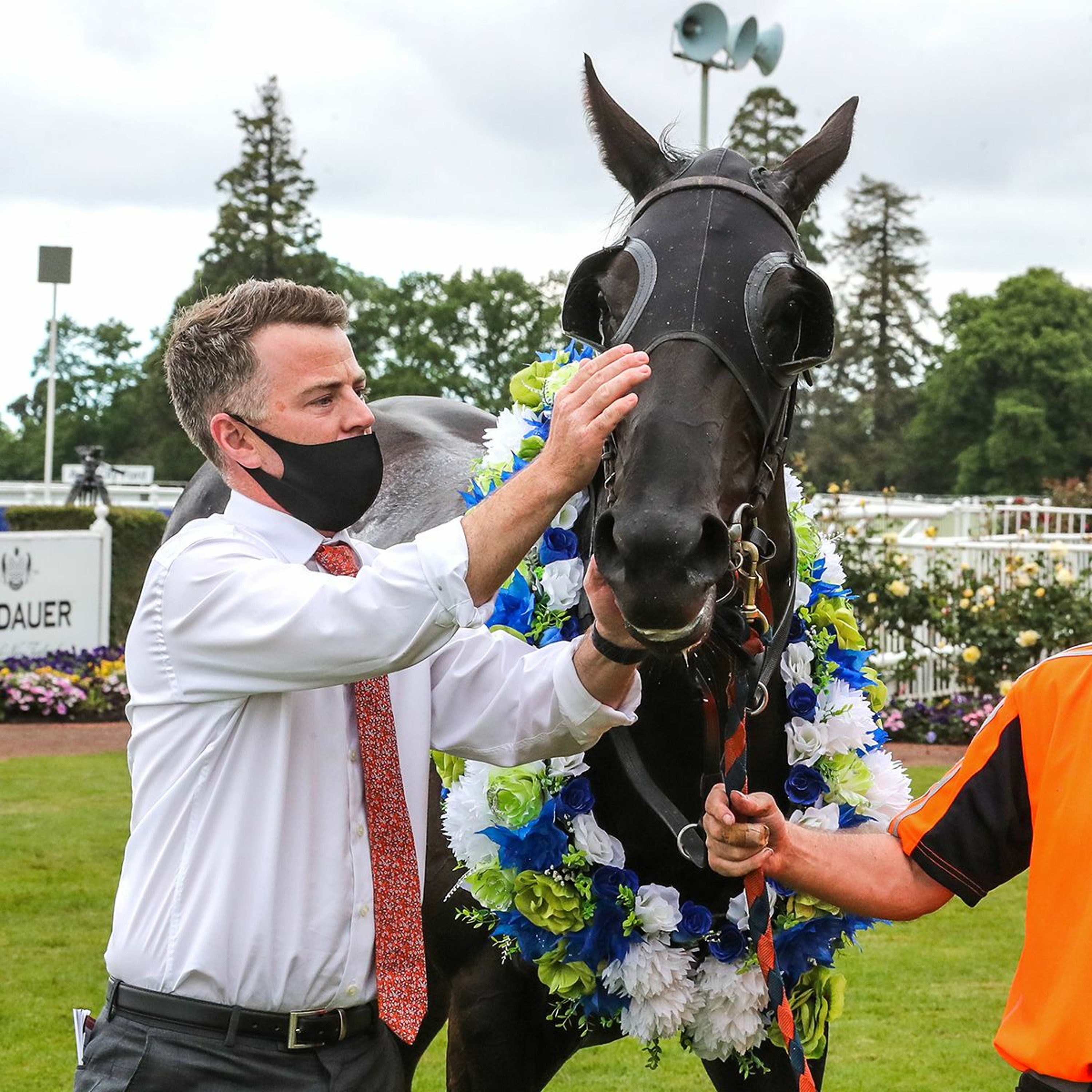 NZ Racing News