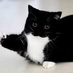 the perfect girl but sounds like snowfall