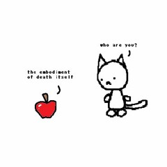 cat meets an apple