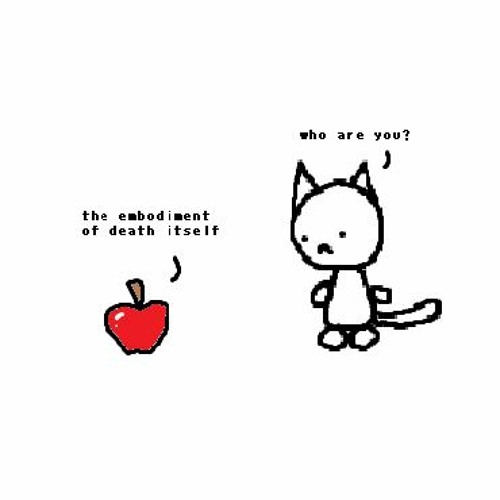 cat meets an apple